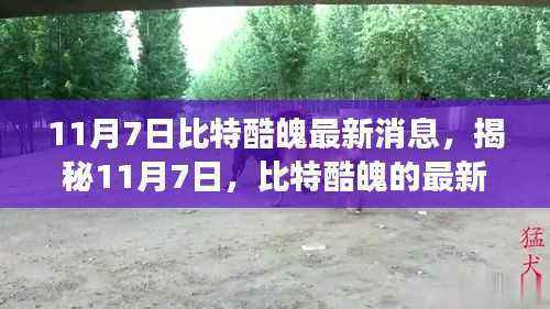 揭秘比特酷魄最新动态与未来展望，11月7日最新消息速递