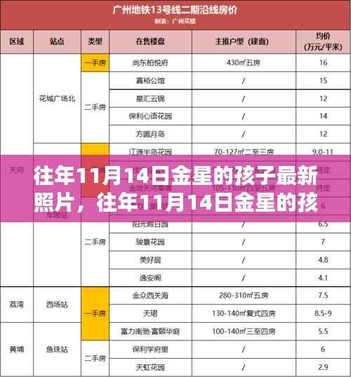 走马观花 第17页