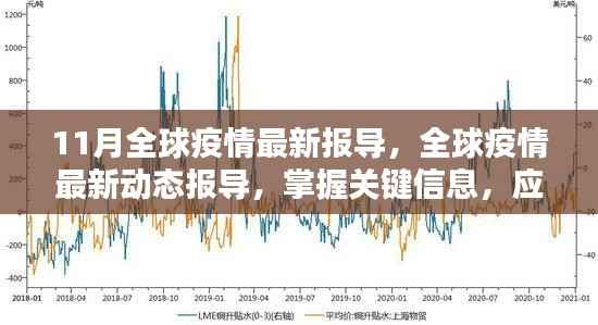 全球疫情最新动态与应对指南，掌握关键信息，挑战疫情的步骤报告