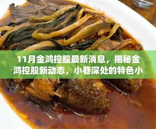 揭秘金鸿控股最新动态，小巷深处的特色小店探索之旅