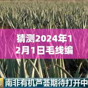 🌟独家预测，小红书揭秘2024年最火毛线编织地毯新织法🔥