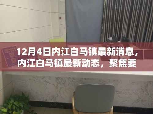 12月4日内江白马镇最新动态深度解析