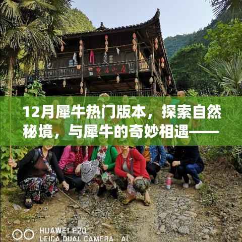 橘虞初梦 第5页