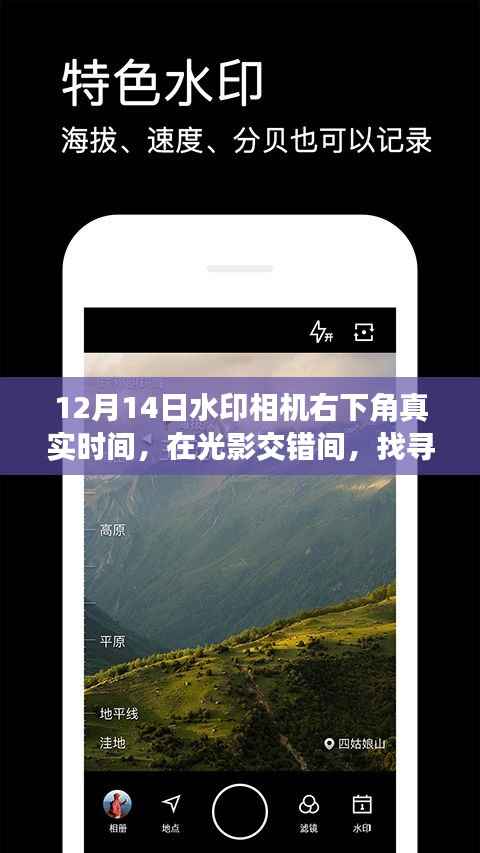 水印相机见证,12月14日光影中的自信与成长步伐