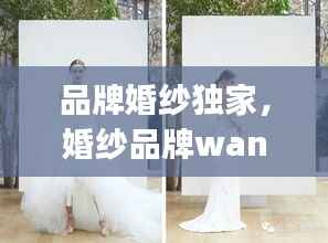 品牌婚纱独家，婚纱品牌wang 