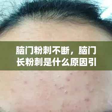 真独简贵 第2页