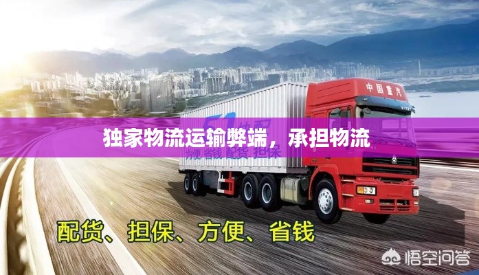 独家物流运输弊端,承担物流