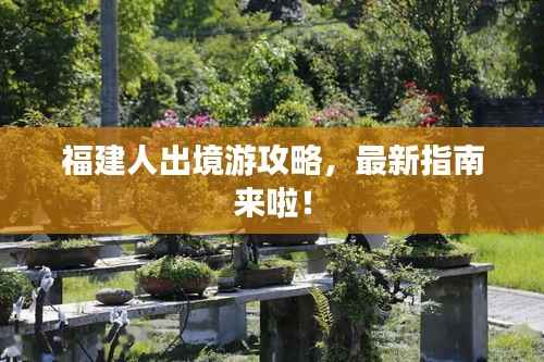 料事如神 第2页