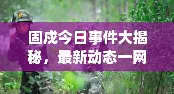 固戍今日事件大揭秘,最新动态一网打尽