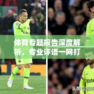 体育专题报告深度解析,专业评语一网打尽