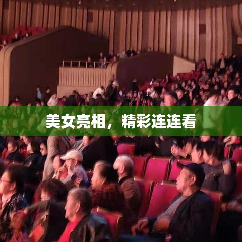 美女亮相，精彩连连看